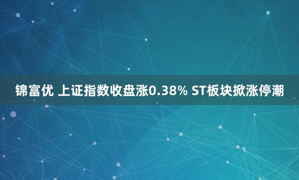 锦富优 上证指数收盘涨0.38% ST板块掀涨停潮