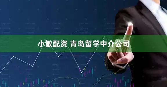 小散配资 青岛留学中介公司