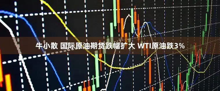 牛小散 国际原油期货跌幅扩大 WTI原油跌3%